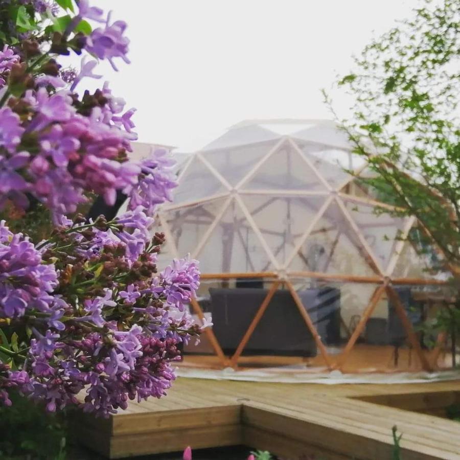 Le Dome Aux Oiseaux Hotel Bérig-Vintrange Exterior photo